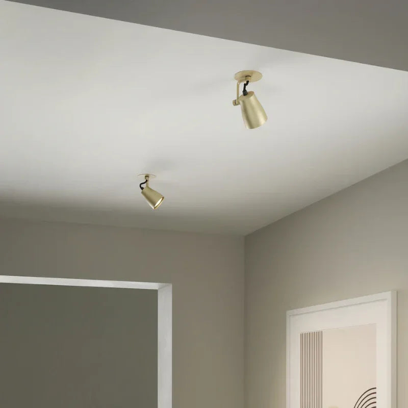 Juno Recessed Spotlight