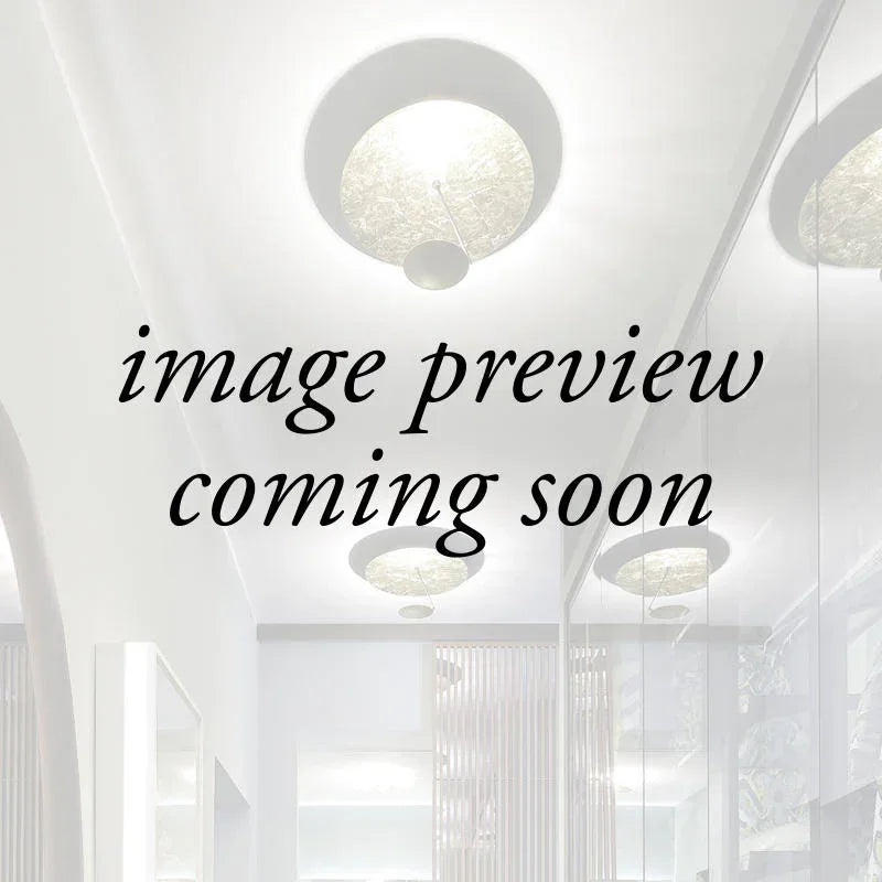 Catellani & Smith Lederam Ceiling Light | All Square Lighting