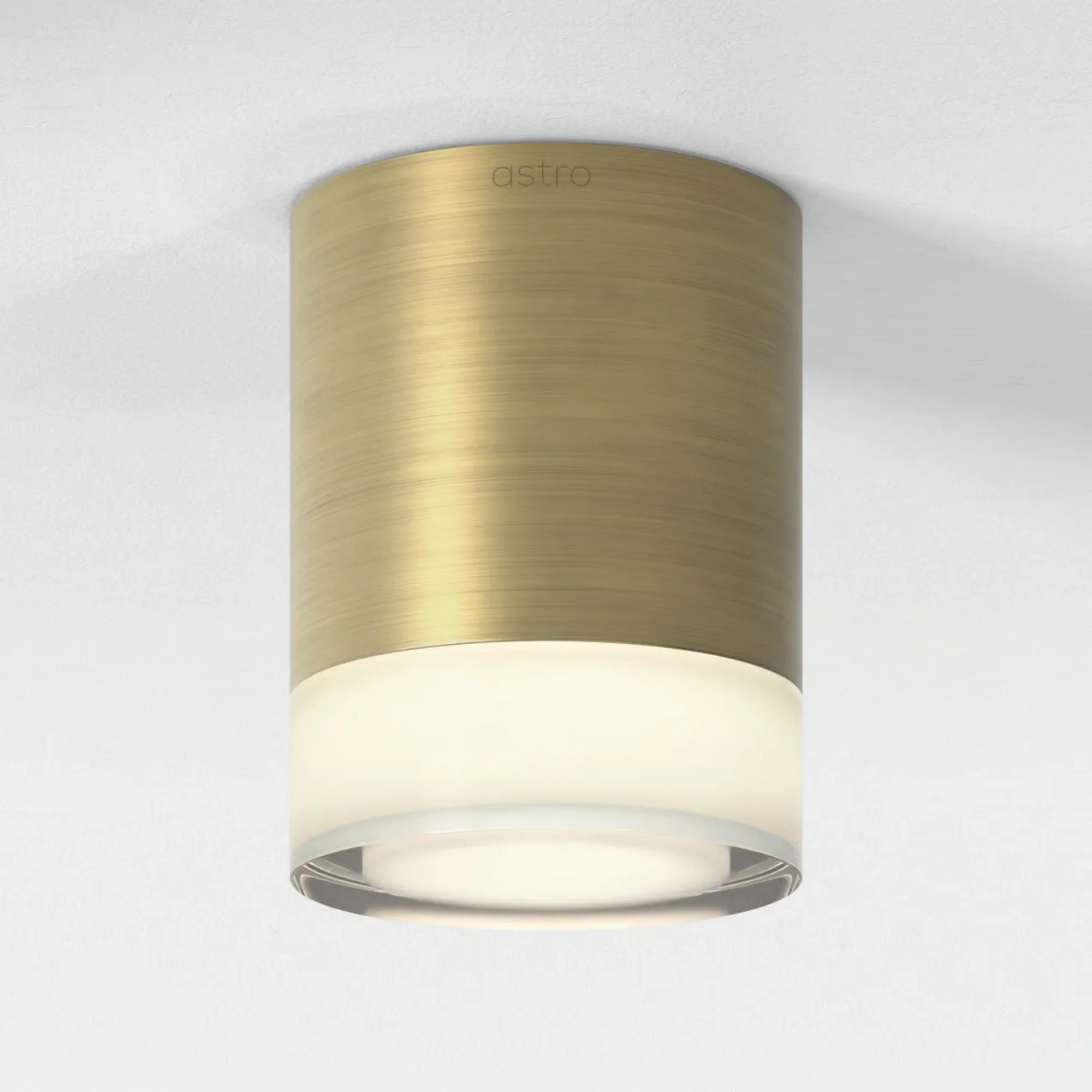 Ottawa Ceiling Light
