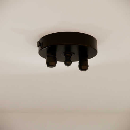 Pulo Box X2 Grip Ceiling Rose