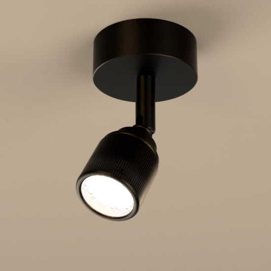 Lichelle L Proud Surface 7026 Spotlight