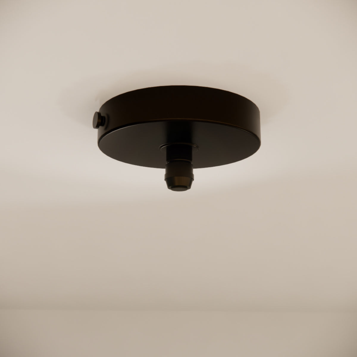 Pulo Box X1 Grip Ceiling Rose
