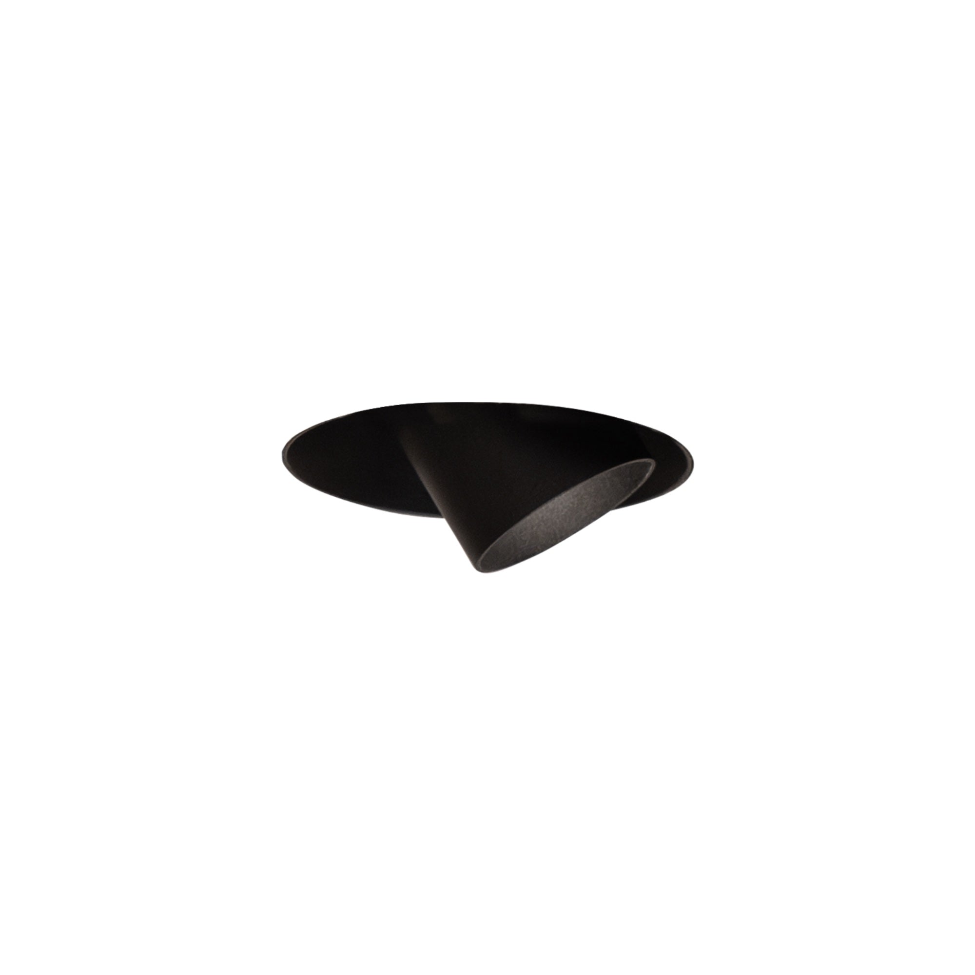 Trimless Spot Adjustable 2.0 Downlight