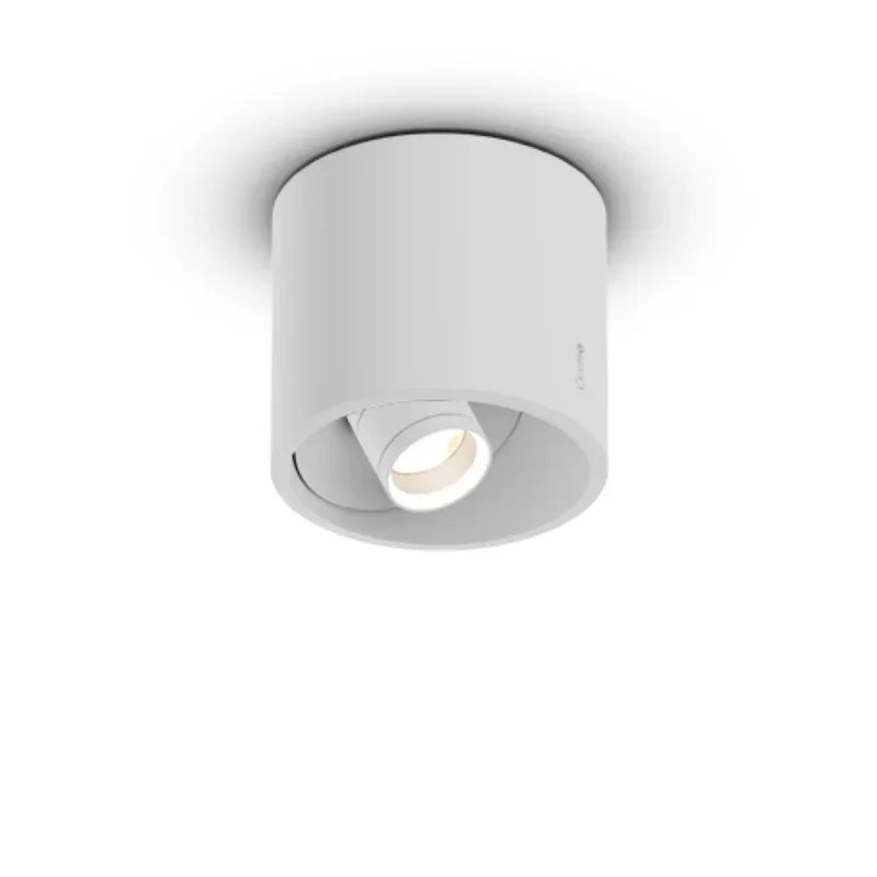 Coro Alto Zoom Up Spotlight
