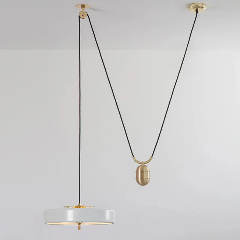 Bert Frank Revolve Rise & Fall Pendant Light | All Square Lighting