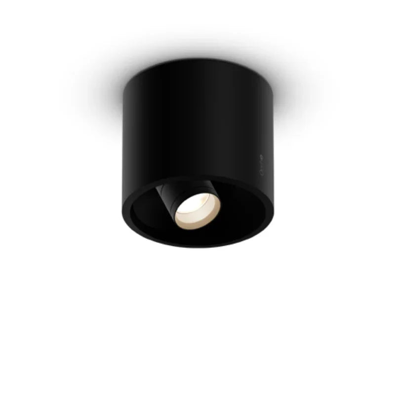 Coro Alto Zoom Up Spotlight
