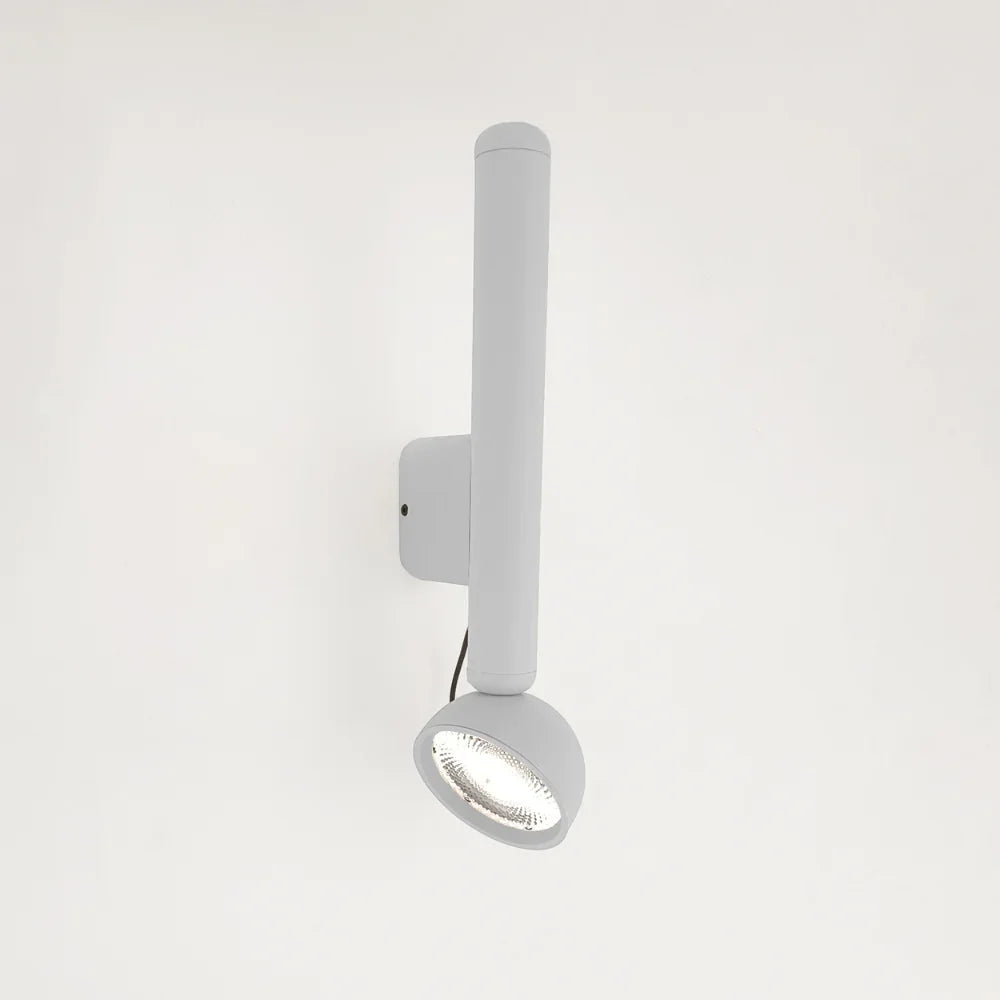 Berry Wall Light