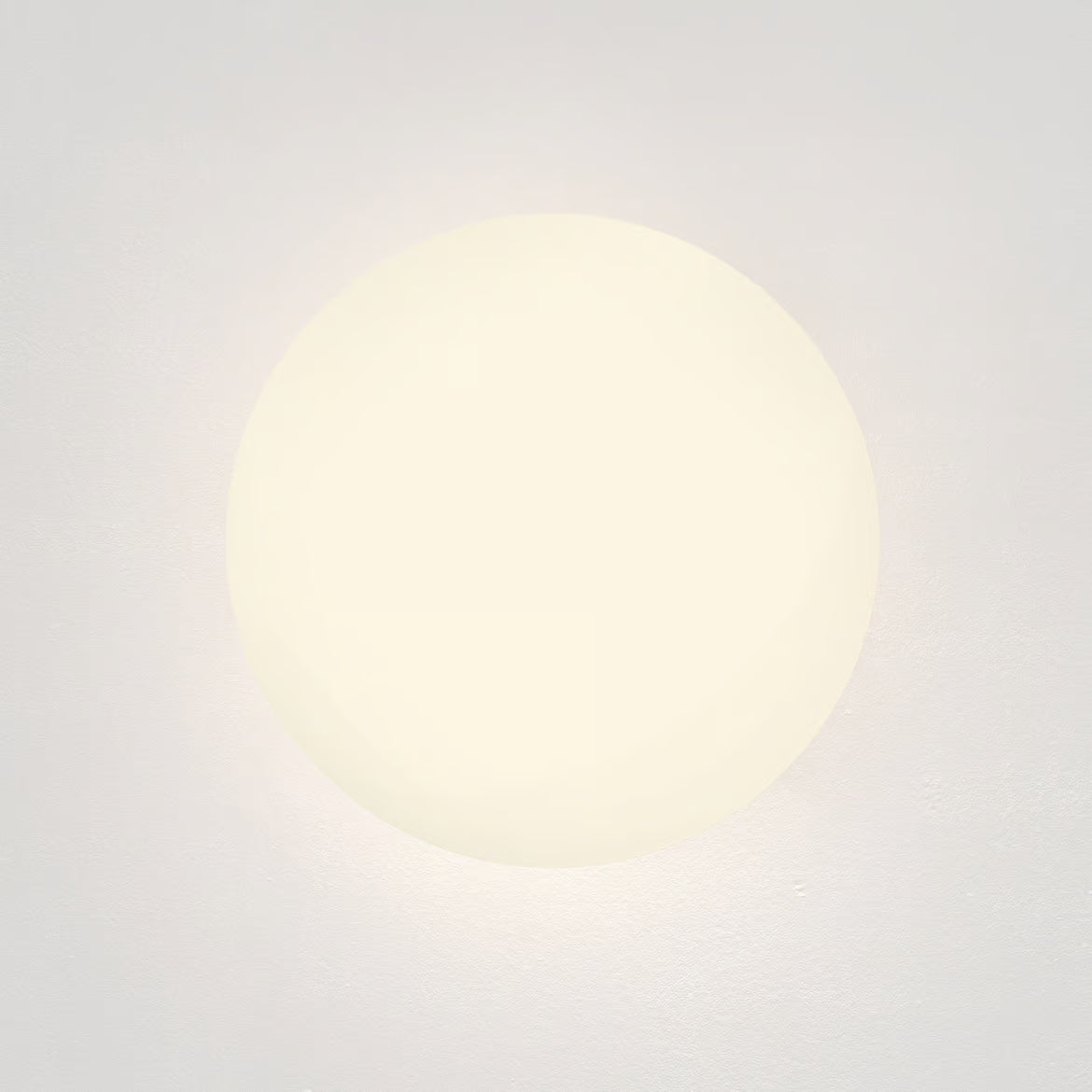 Zeppo Wall Light