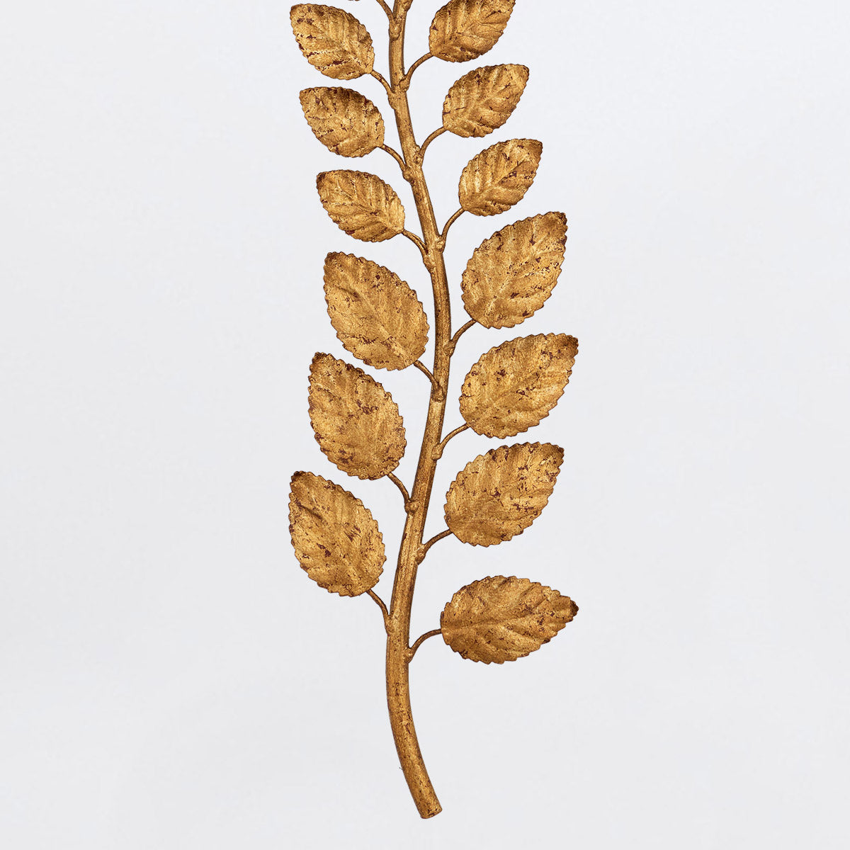 Birdwood Wall Light