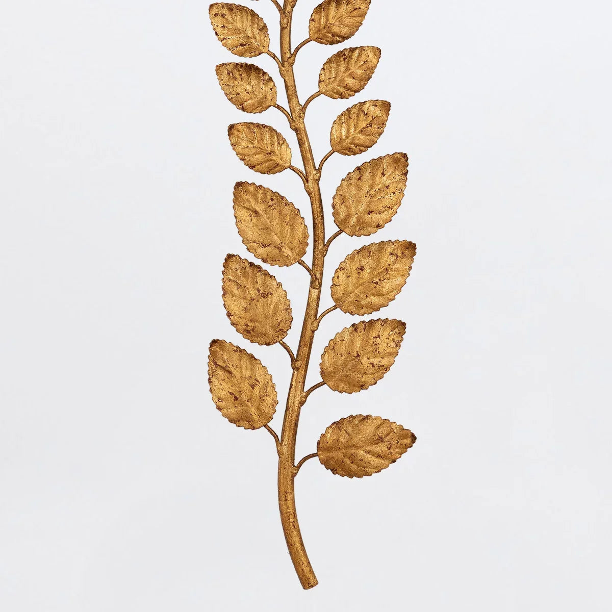 Birdwood Wall Light