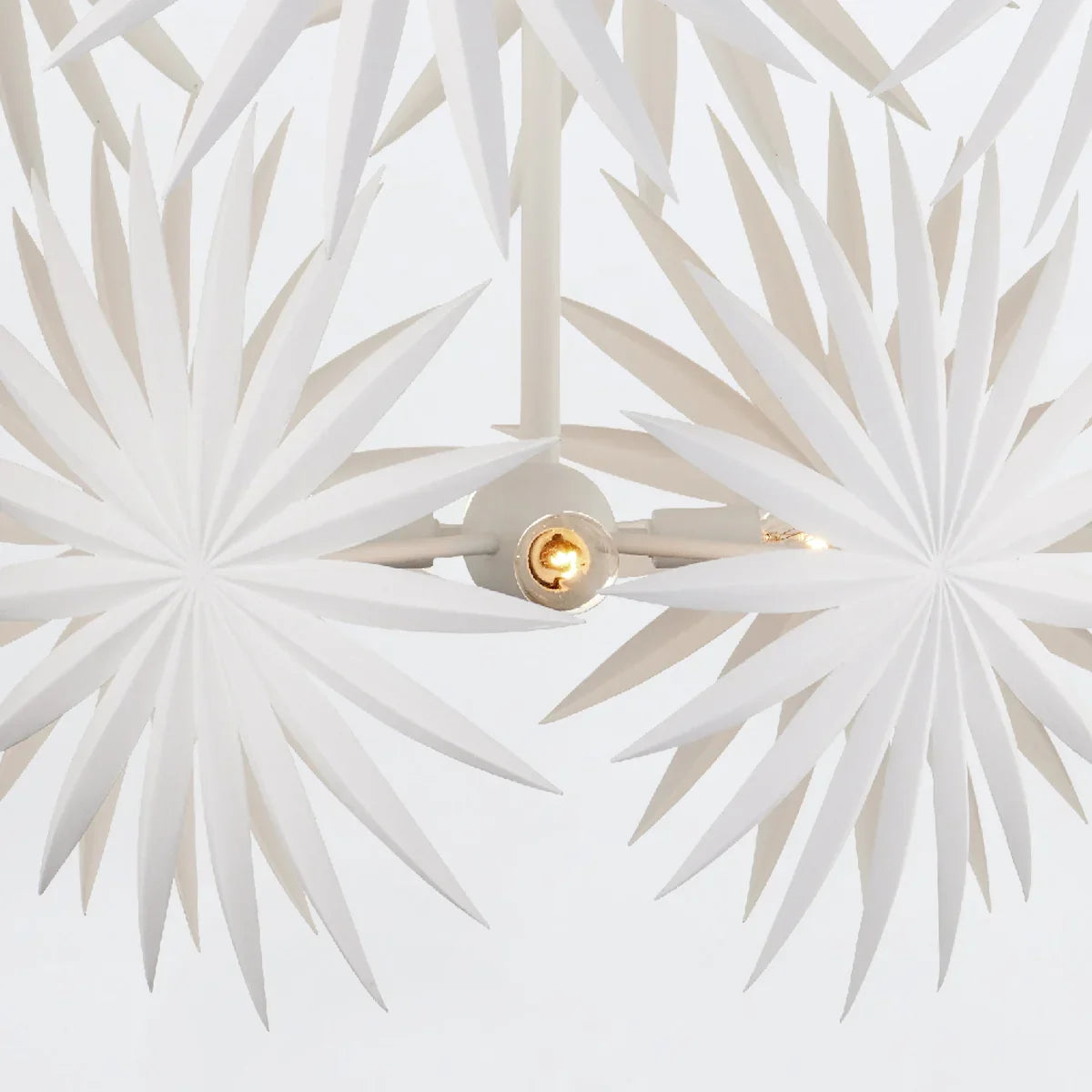 Bismarkia Medium Pendant Light