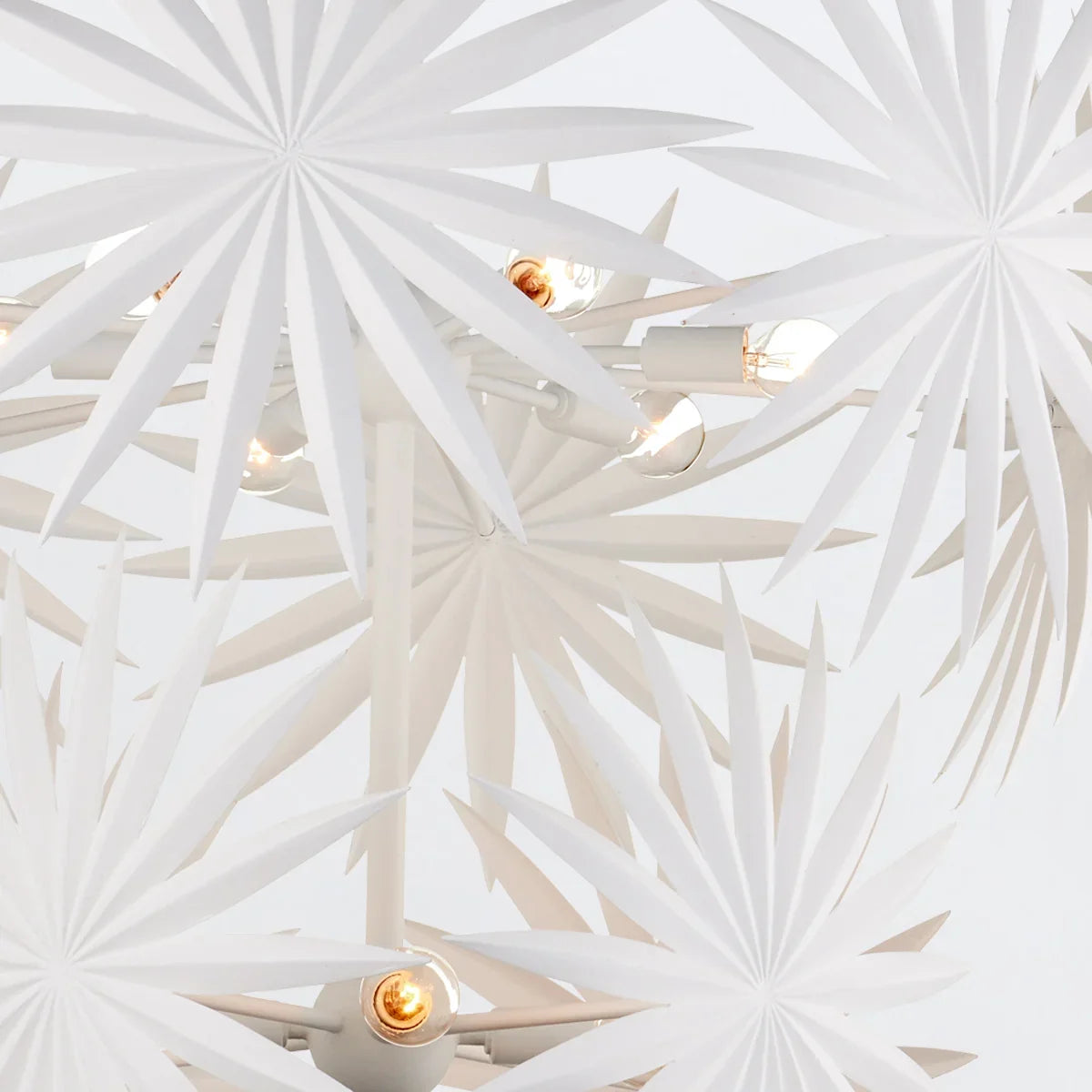 Bismarkia Medium Pendant Light