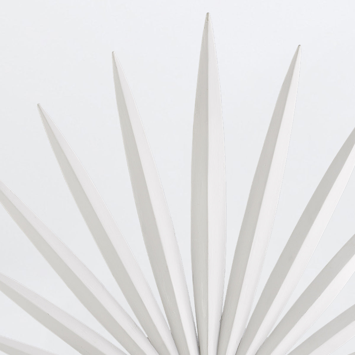 Bismarkia Wall Light