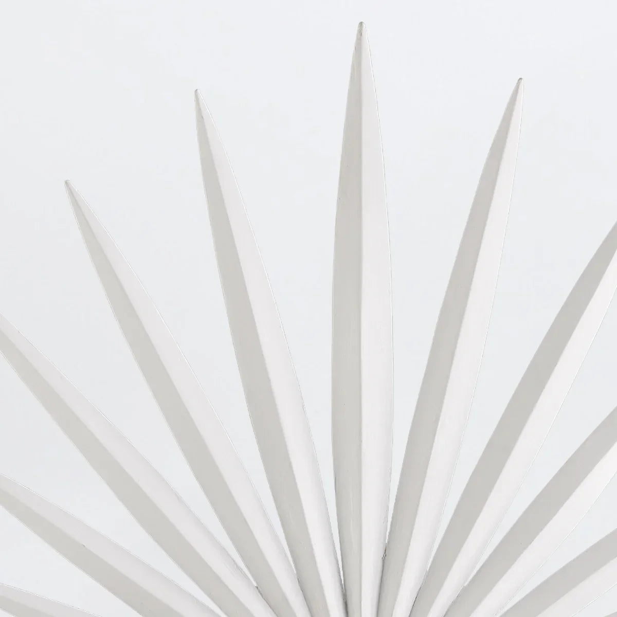 Bismarkia Wall Light
