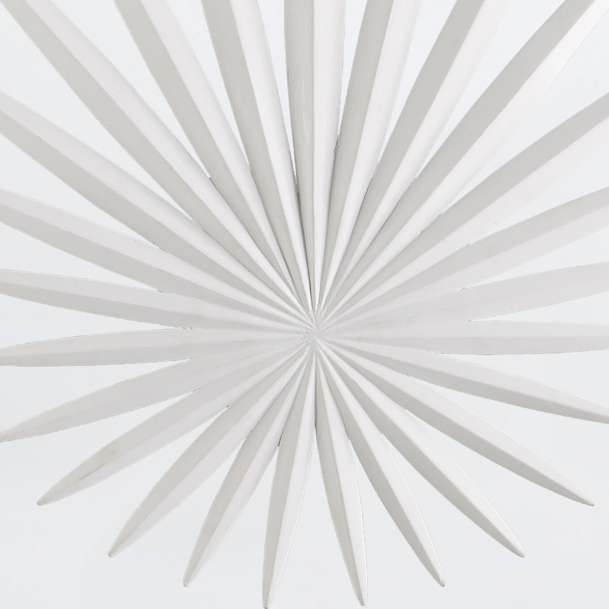 Bismarkia Wall Light