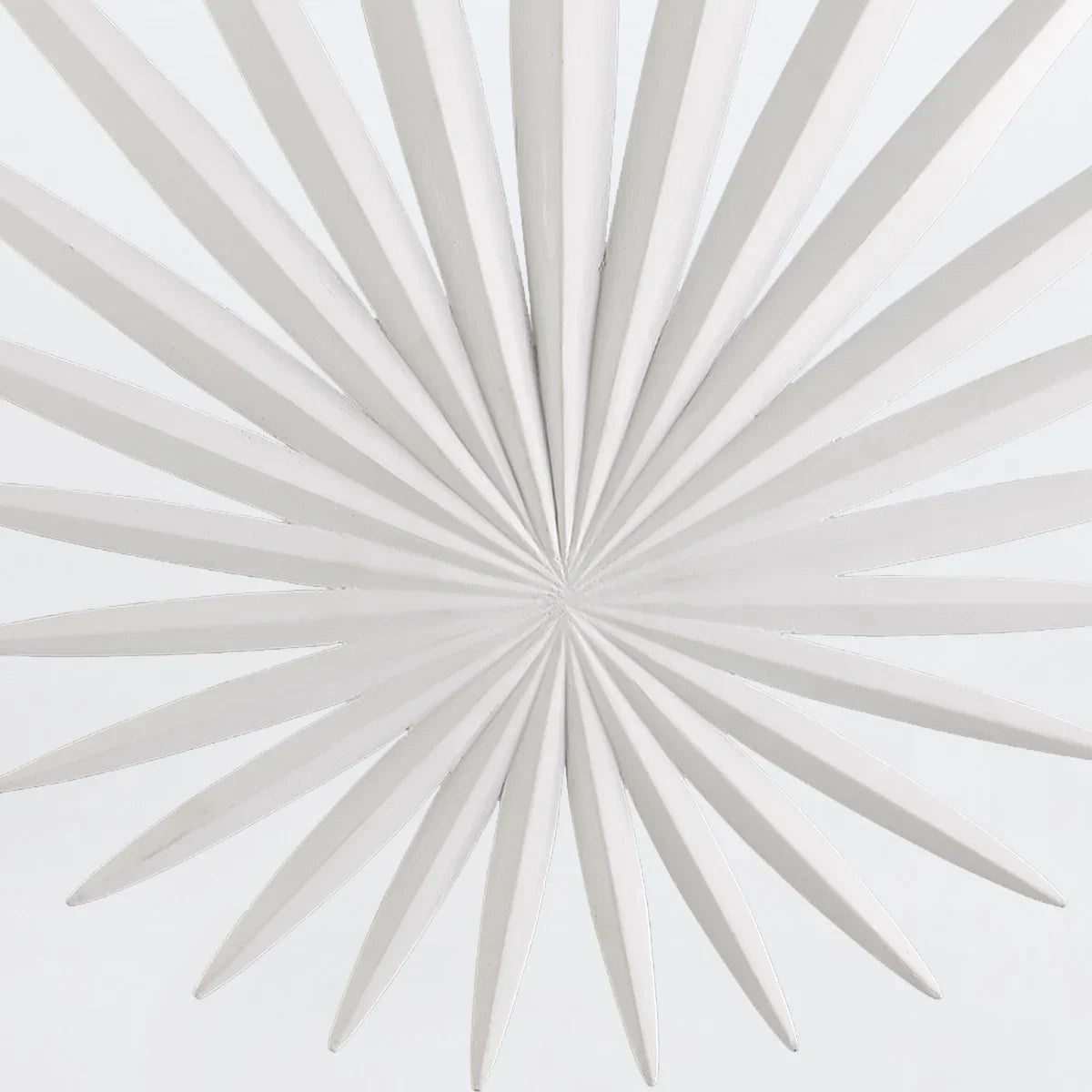 Bismarkia Wall Light