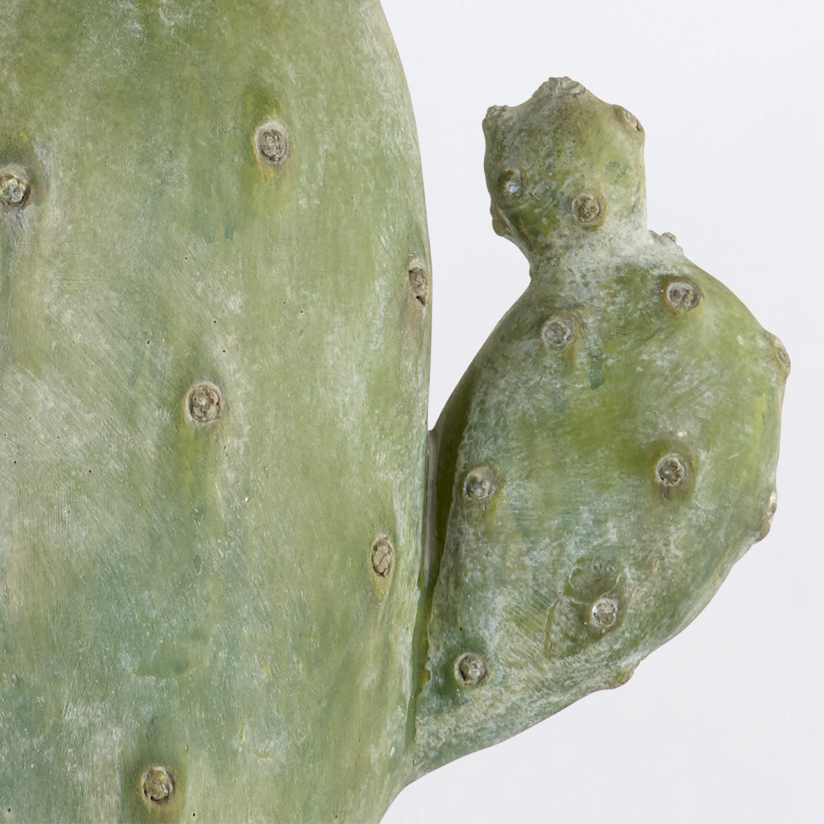 Cactus Table Lamp