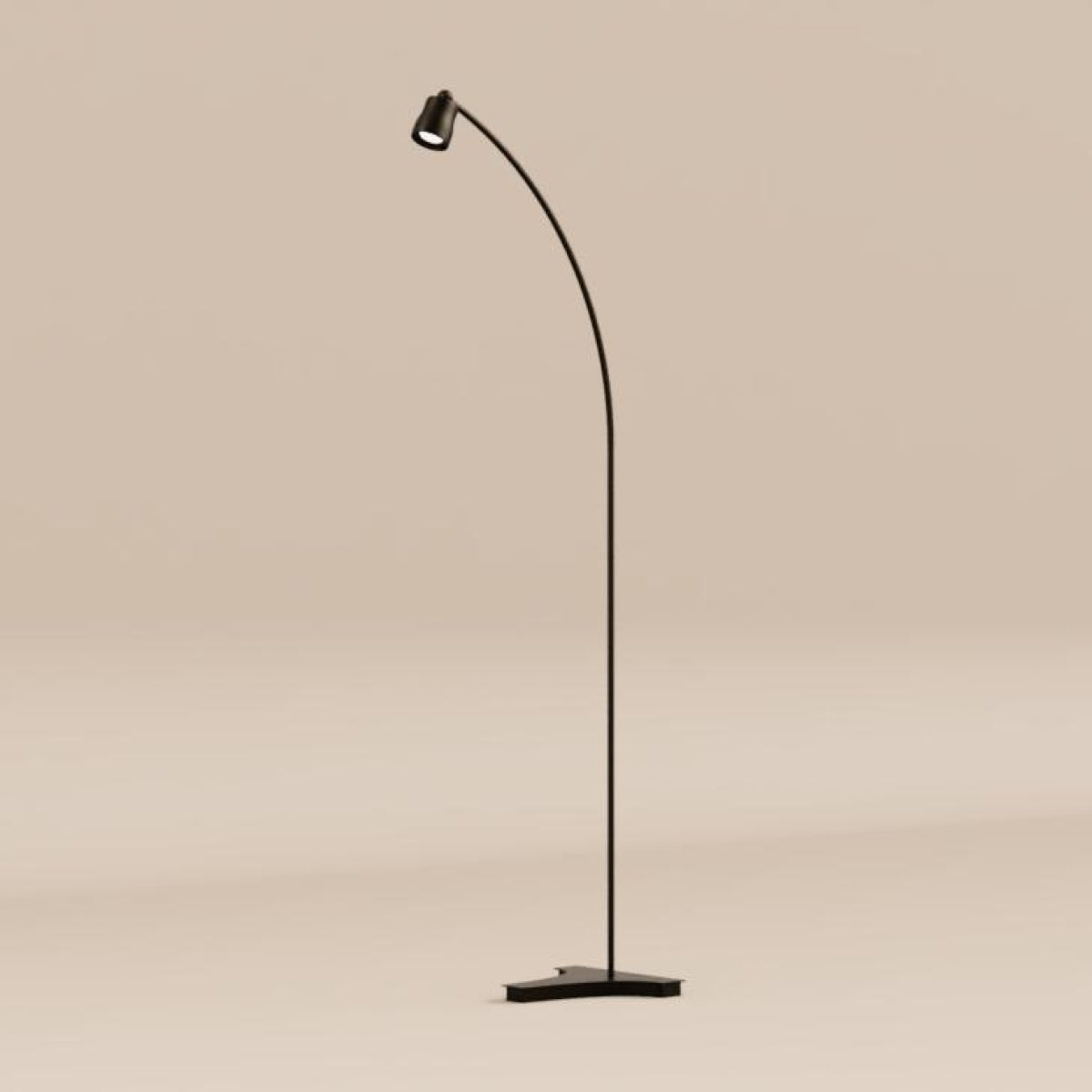Richelle P Extended Floor Lamp
