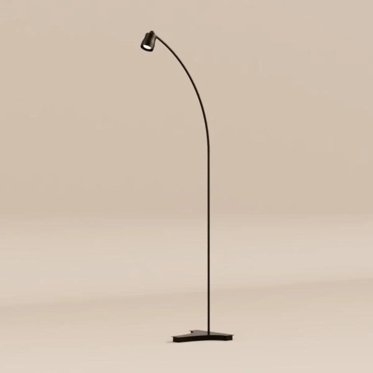 Richelle P Extended Floor Lamp