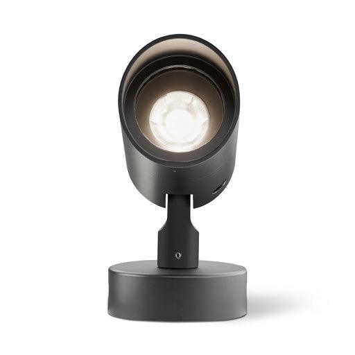 LD10238 Spotlight