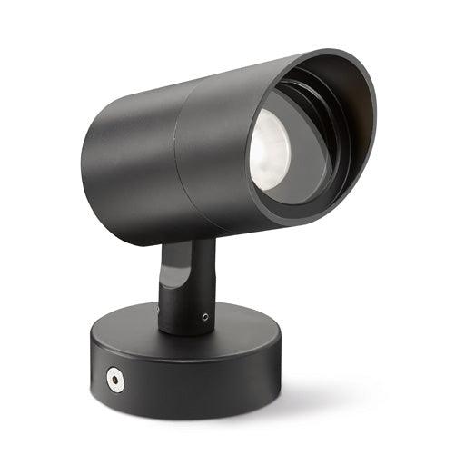 LD10238 Spotlight