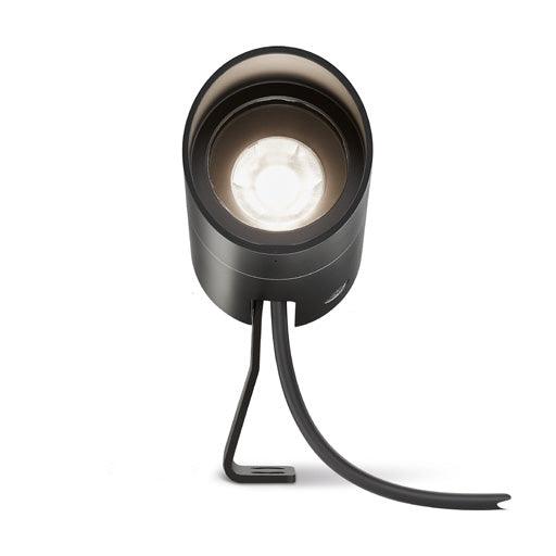 LD10238 Spotlight