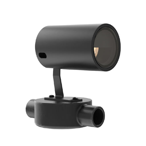 LD238 Spotlight