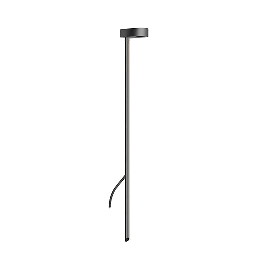 LD50 Spike Light