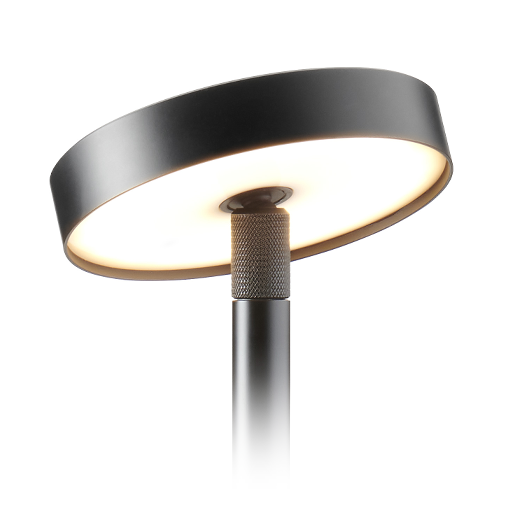 LD53 Spike Light
