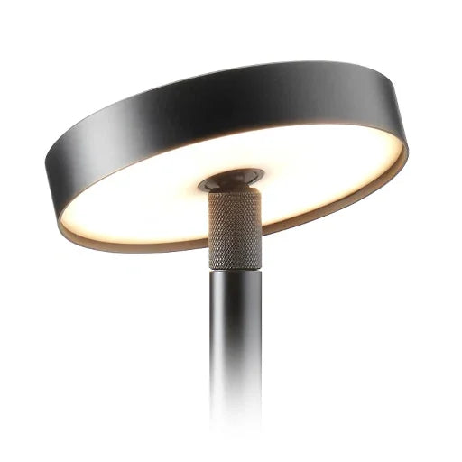 LD53 Spike Light