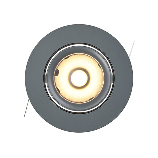 LD790 Downlight