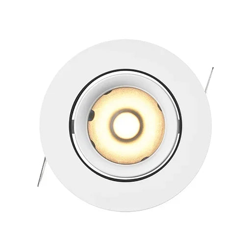 LD790 Downlight