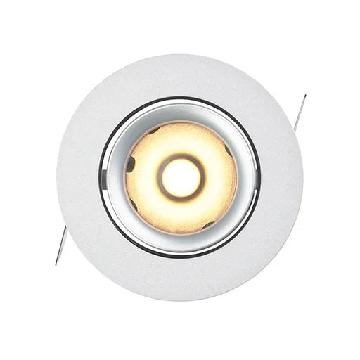 LD790 Downlight