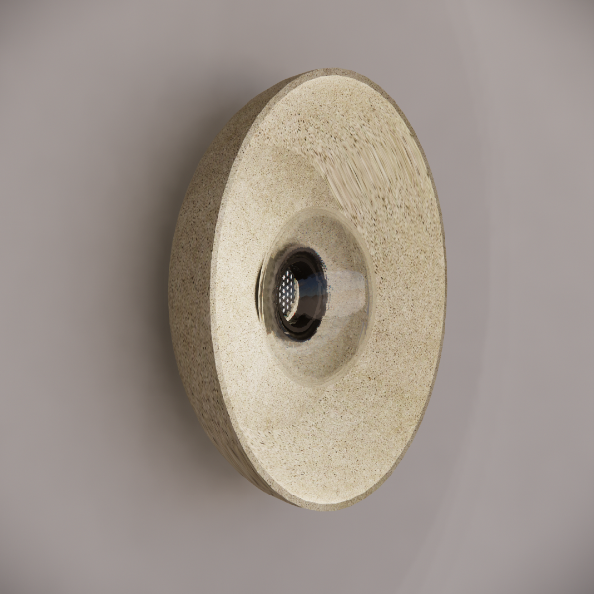 Noctilucia Shell Large Wall Light