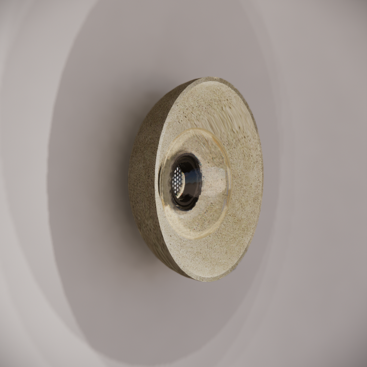 Noctilucia Shell Medium Wall Light