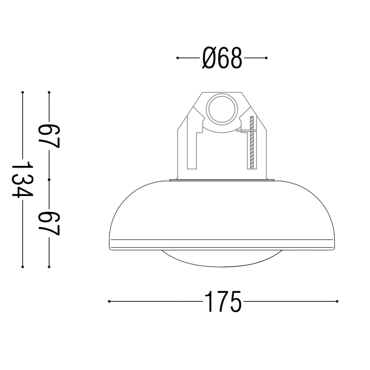 Noctilucia Shell Medium Wall Light