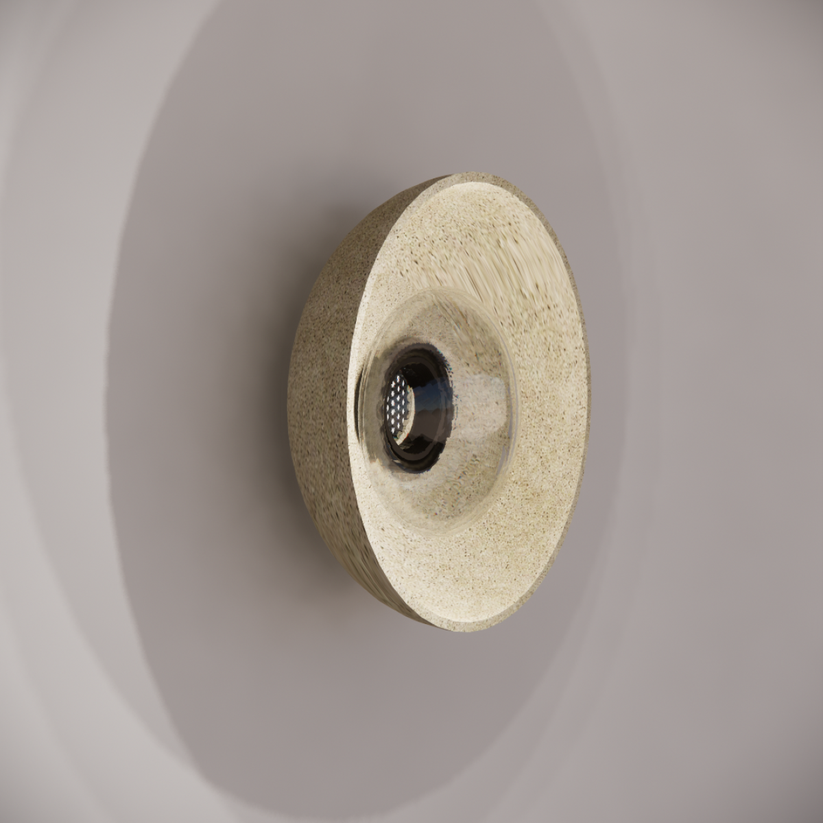 Noctilucia Shell Medium Wall Light