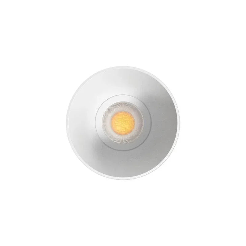Arkoslight Buddy Trimless Downlight | All Square Lighting