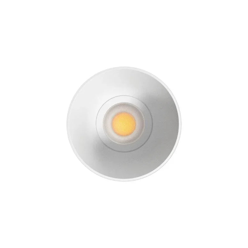 Arkoslight Buddy Trimless Downlight | All Square Lighting