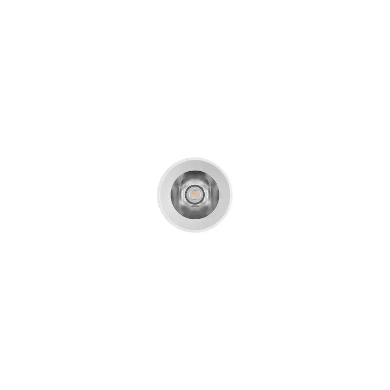 Arkoslight Lens Light Trimless Downlight | All Square Lighting