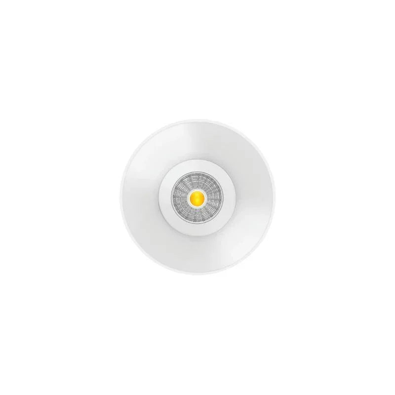 Arkoslight Shot Light M Trimless Downlight | All Square Lighting