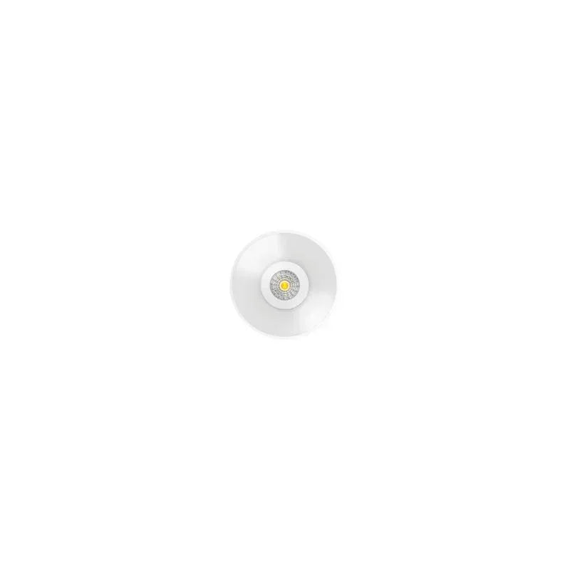 Arkoslight Shot Light Trimless Downlight | All Square Lighting