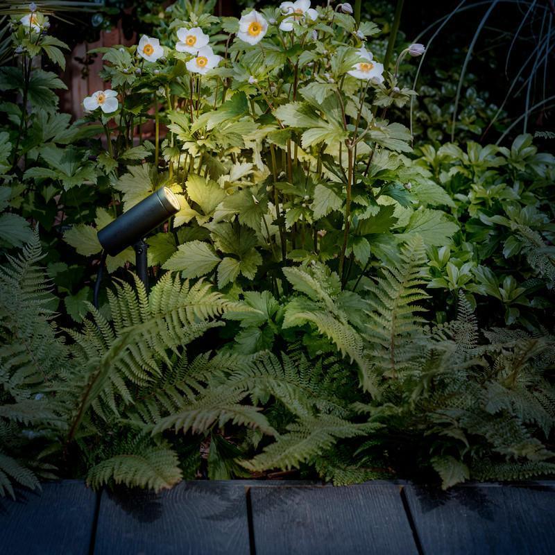 Astro Lighting Myos Spot Light | All Square Lighting