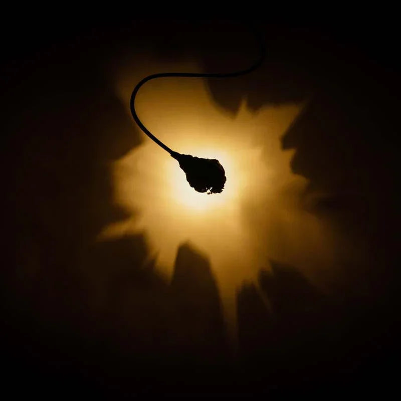 Catellani & Smith Luce Che Dipinge Wall Light | All Square Lighting