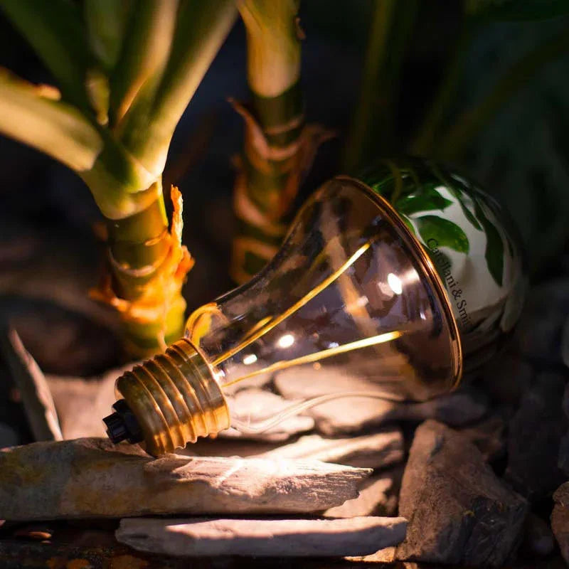 Catellani & Smith Trenta Table Lamp | All Square Lighting