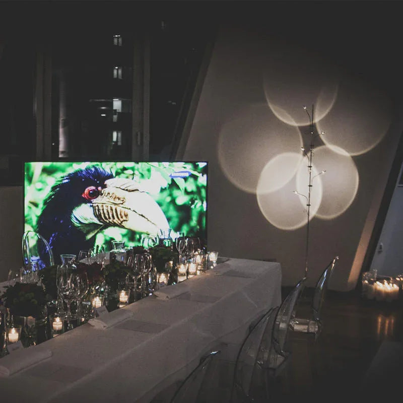 Catellani & Smith Wa Wa Floor Lamp | All Square Lighting