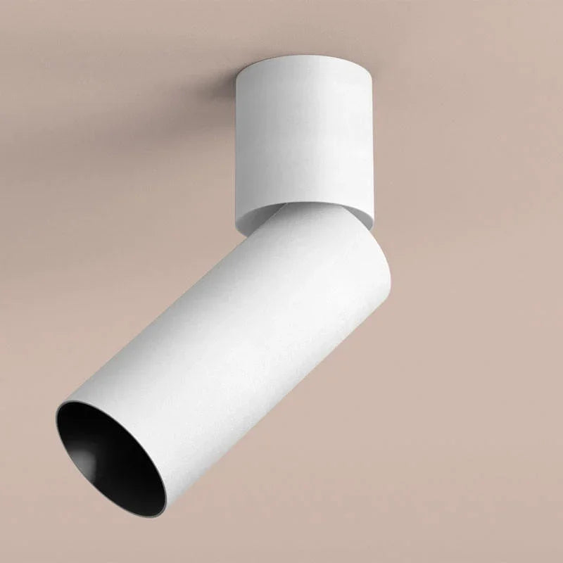 Orluna Cloud Intergrated Adjustable Spotlight