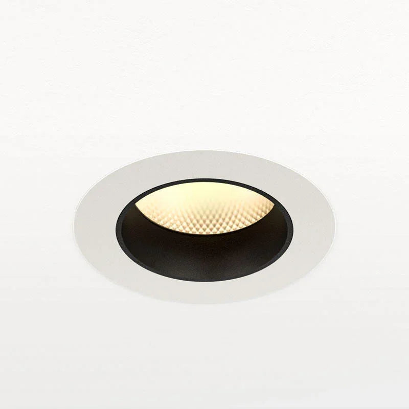 Orluna Dino Fixed Downlight | All Square Lighting