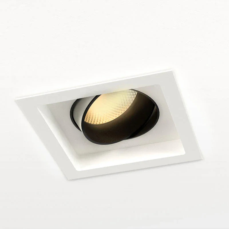 Orluna Look Adjustable Downlight | All Square Lighting