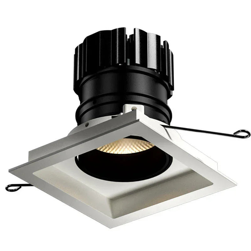 Orluna Look Adjustable Downlight | All Square Lighting